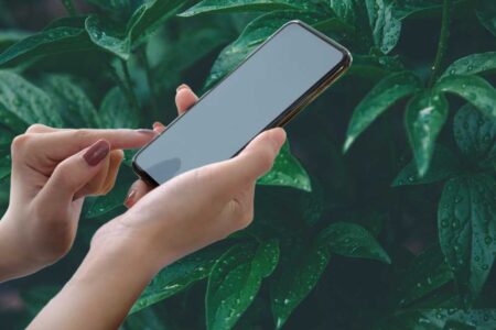 identificar-plantas